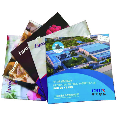 企業(yè)畫冊(cè)印刷宣傳冊(cè)企業(yè)折頁(yè)樣本印刷定制